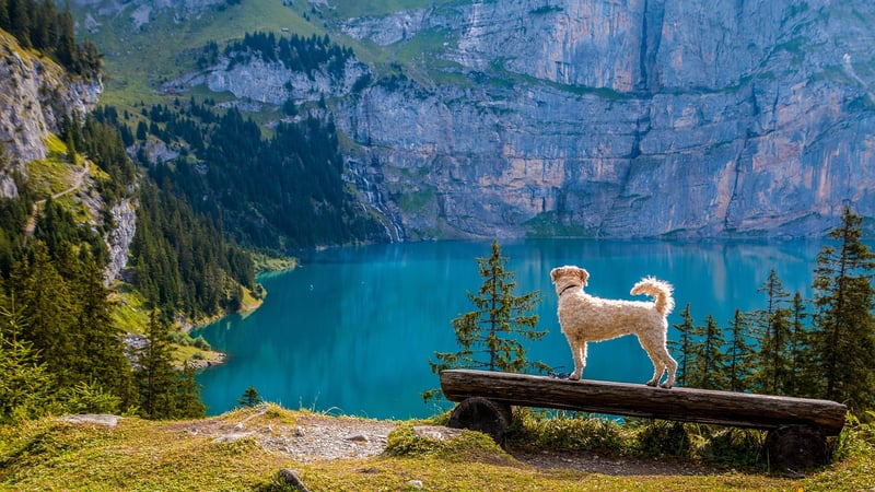 Crystal Clear Lake